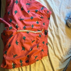 Men’s Large Hollister Shorts ($15)(Perfect Condition)